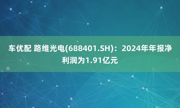 车优配 路维光电(688401.SH):2024年年报净利润为1.91亿元