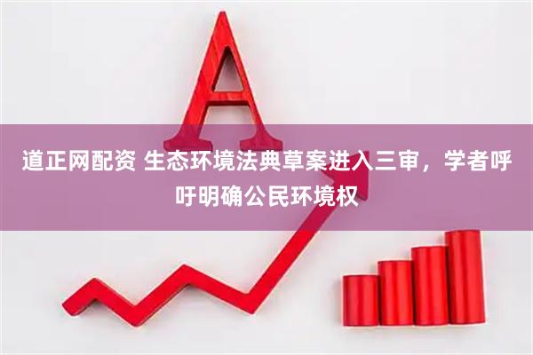 道正网配资 生态环境法典草案进入三审，学者呼吁明确公民环境权