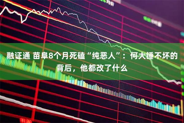 融证通 苗阜8个月死磕“纯恶人”：何大锤不坏的背后，他都改了什么